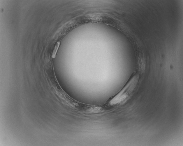 X0000051910609200507082031