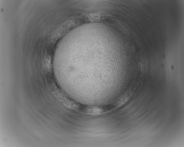 X0000051910610200507082031