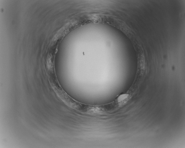 X0000051910611200507082031