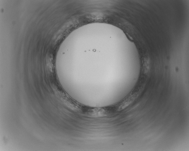 X0000051910612200507082031