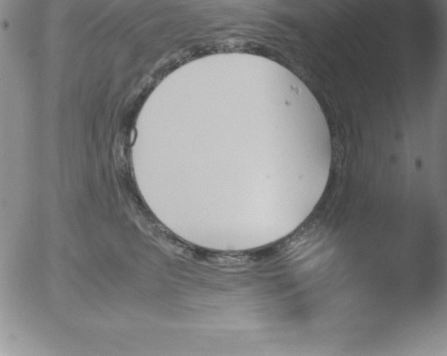 X0000051910615200507082031