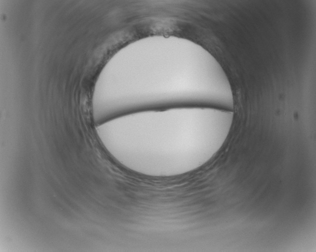 X0000051910619200507082031