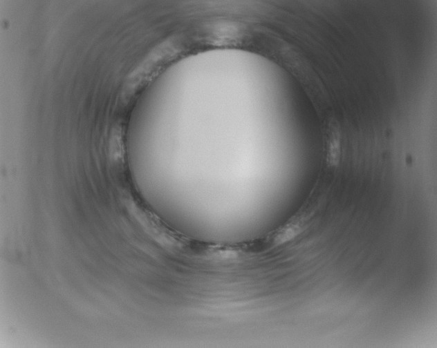 X0000051910620200507082031