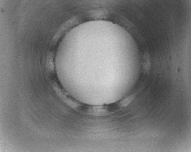 X0000051910622200507082031