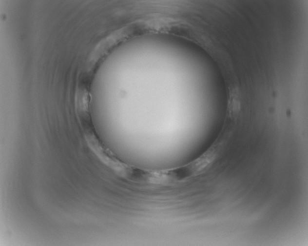 X0000051910623200507082031