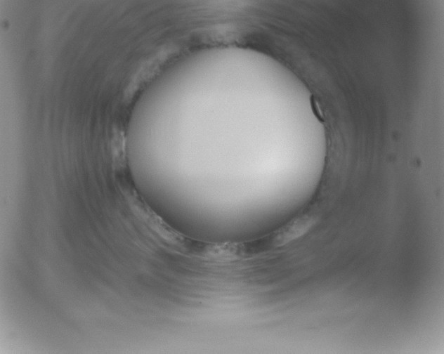 X0000051910624200507082031