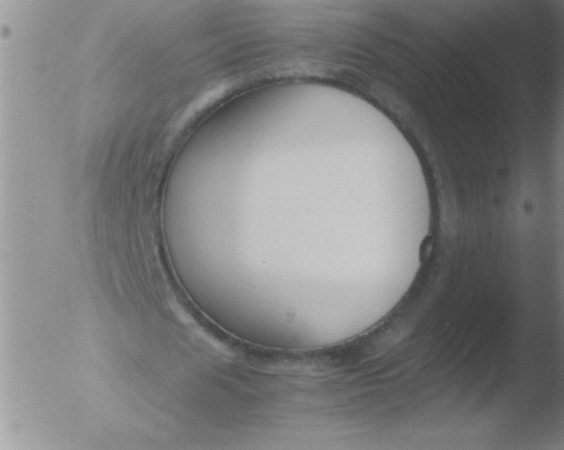 X0000051910625200507082030