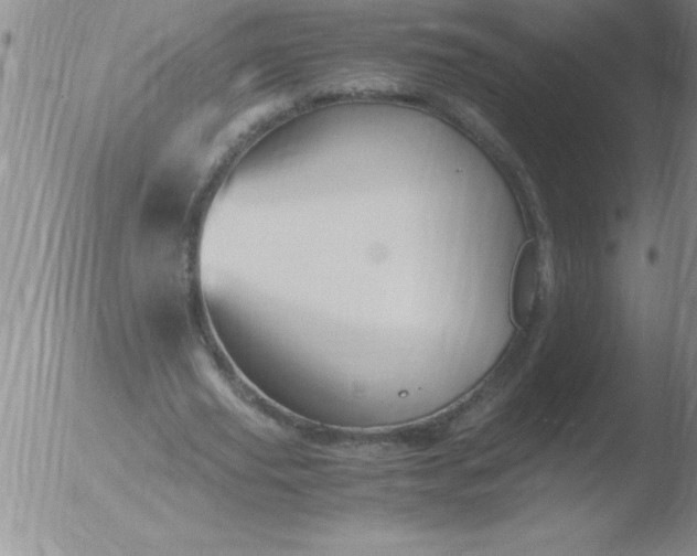 X0000051910629200507082030