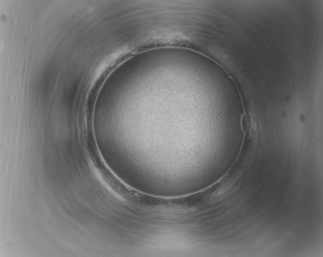 X0000051910630200507082030