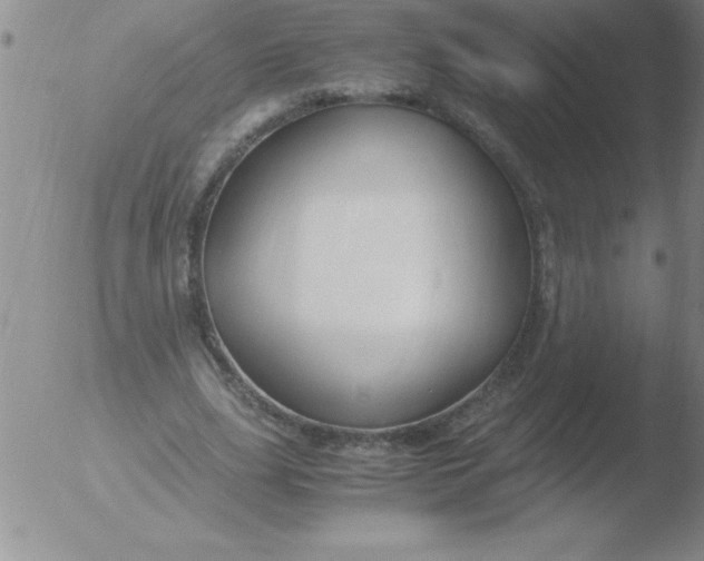 X0000051910631200507082030