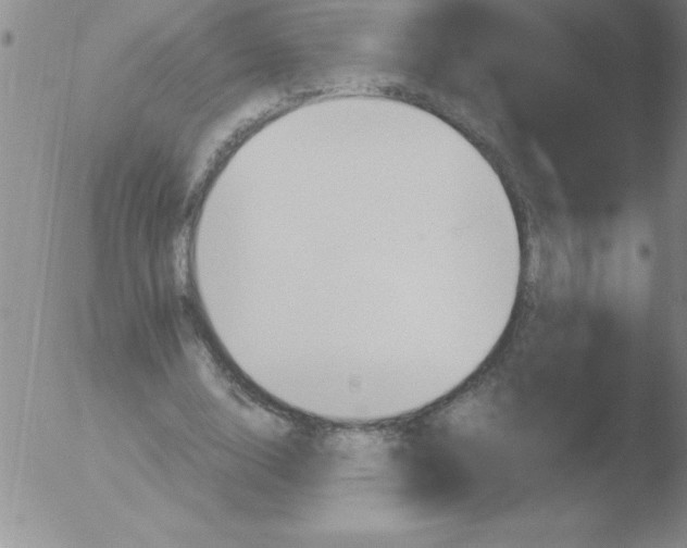 X0000051910632200507082030