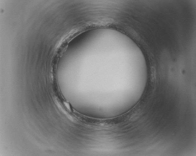 X0000051910634200507082030