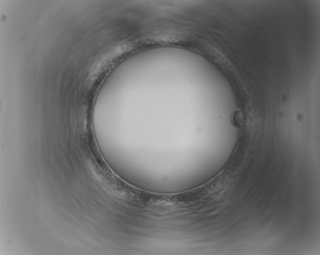 X0000051910635200507082030