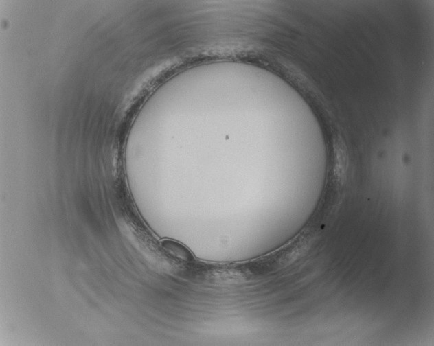 X0000051910636200507082030