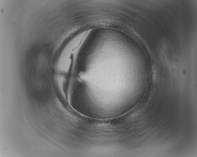 X0000051910637200507082030