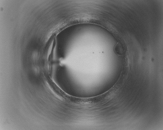 X0000051910638200507082030