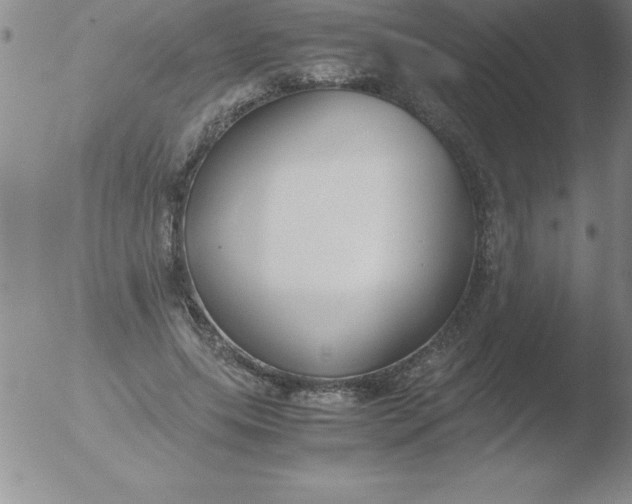 X0000051910639200507082030