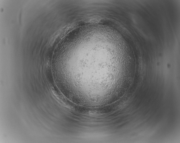 X0000051910641200507082030