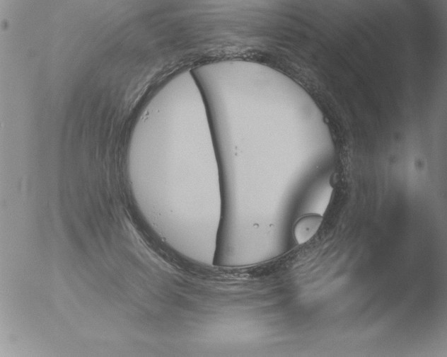 X0000051910642200507082030