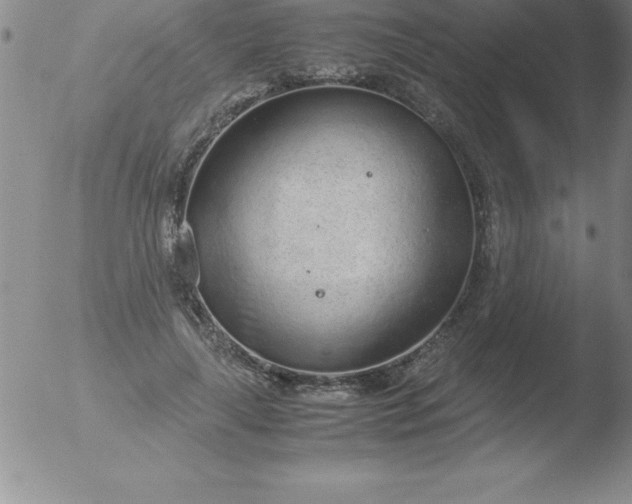 X0000051910643200507082030