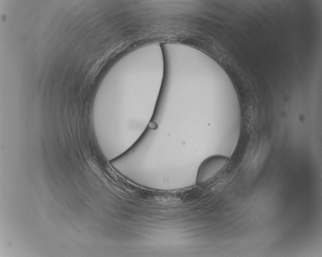 X0000051910644200507082030