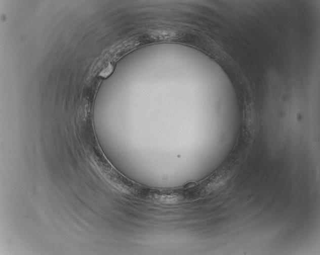 X0000051910645200507082030