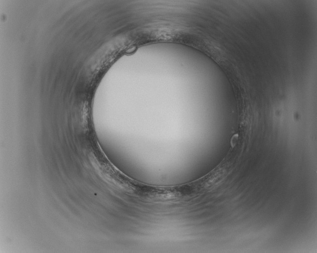 X0000051910646200507082030