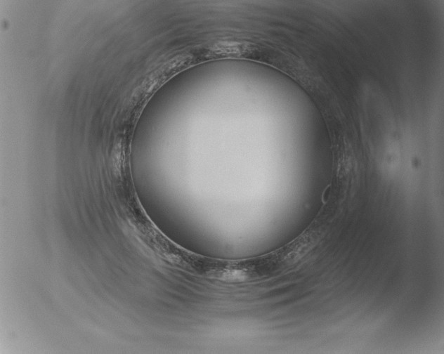 X0000051910647200507082030