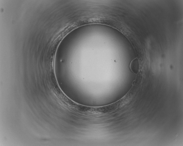 X0000051910648200507082030