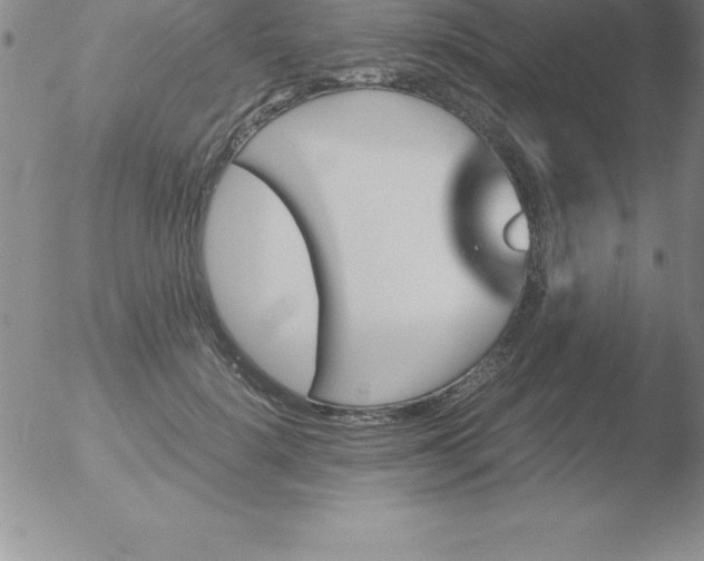 X0000051910652200507082031