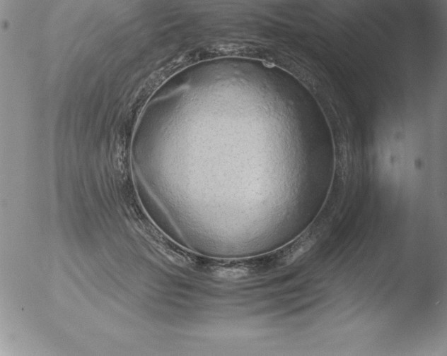 X0000051910653200507082031