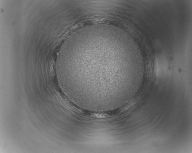 X0000051910654200507082031