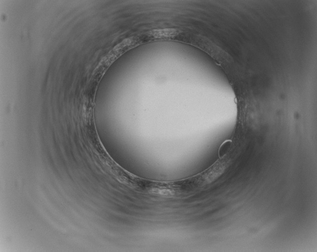 X0000051910655200507082031