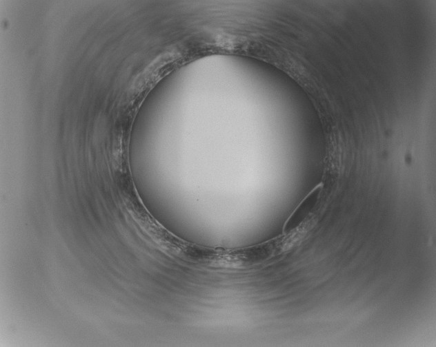 X0000051910656200507082031