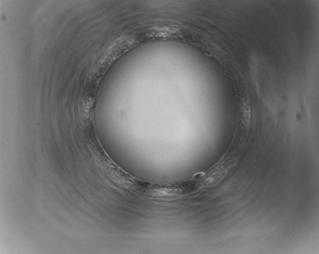 X0000051910657200507082031