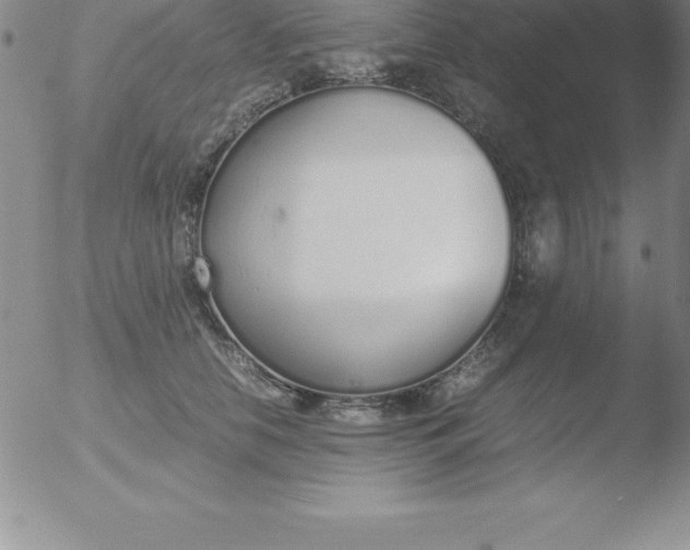 X0000051910658200507082031