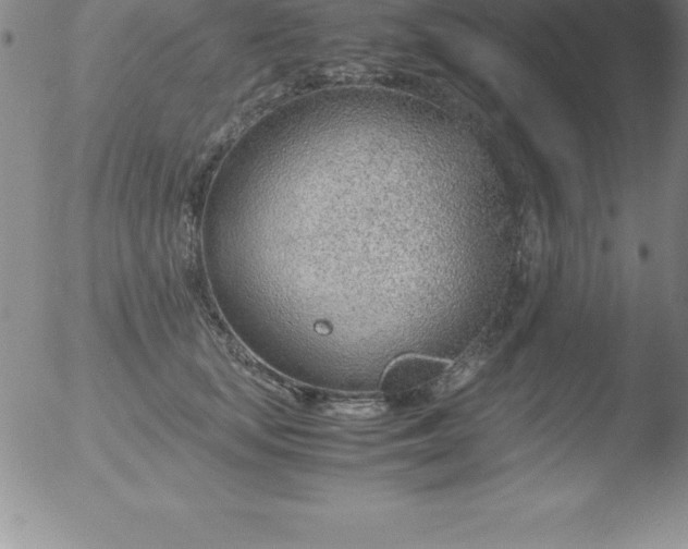 X0000051910659200507082031