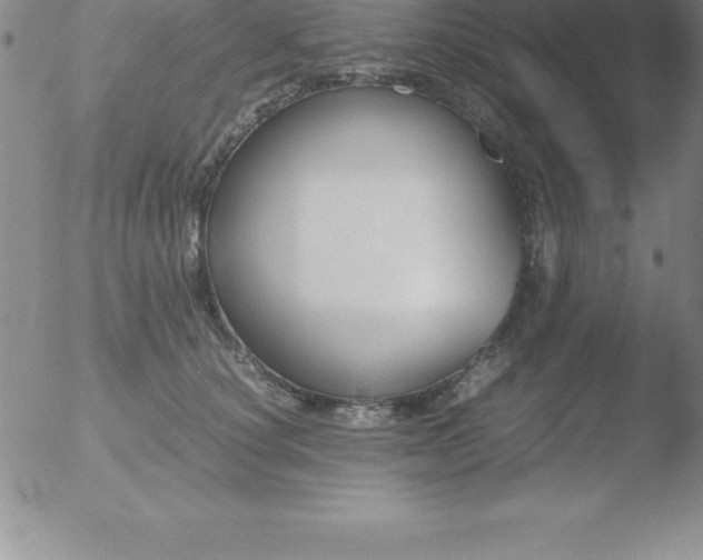 X0000051910660200507082031