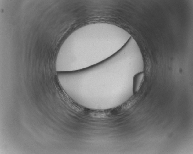 X0000051910661200507082031