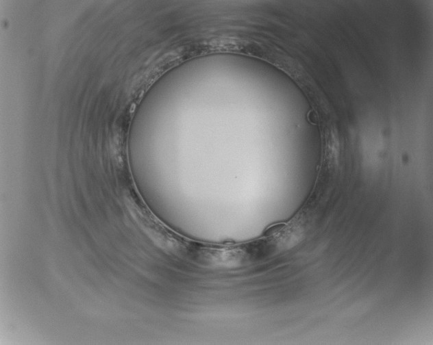 X0000051910663200507082031