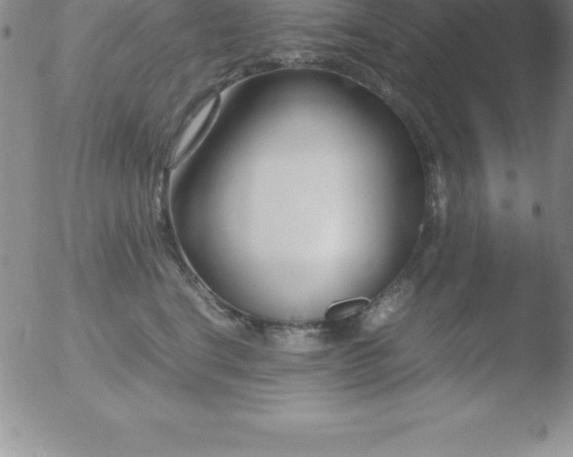 X0000051910664200507082031