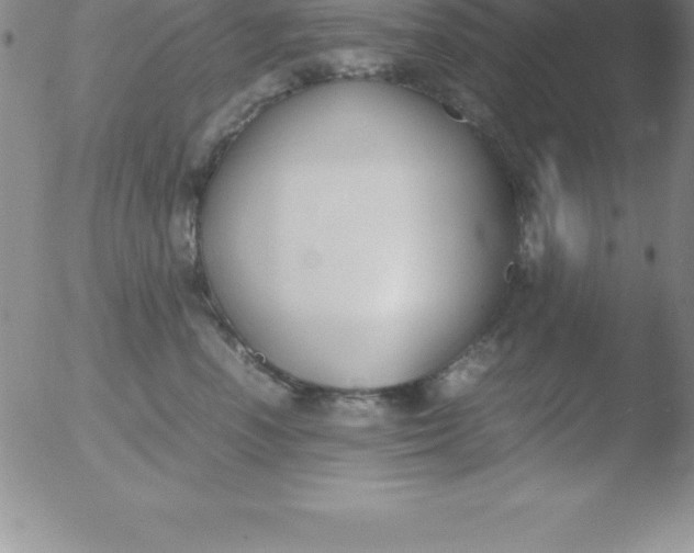 X0000051910666200507082031