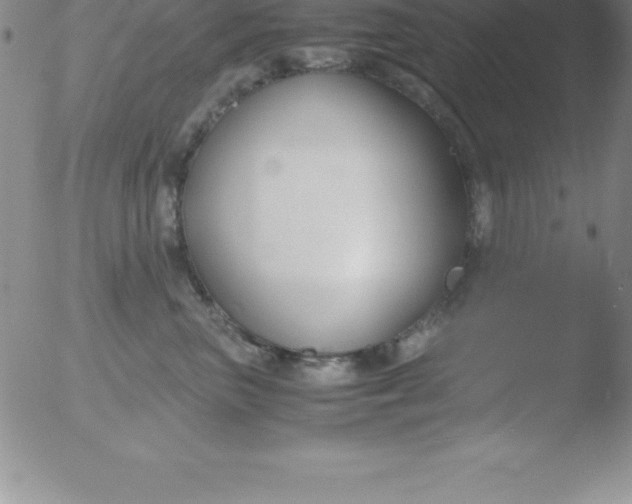 X0000051910667200507082031