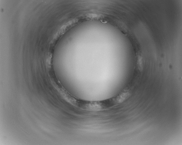 X0000051910668200507082031