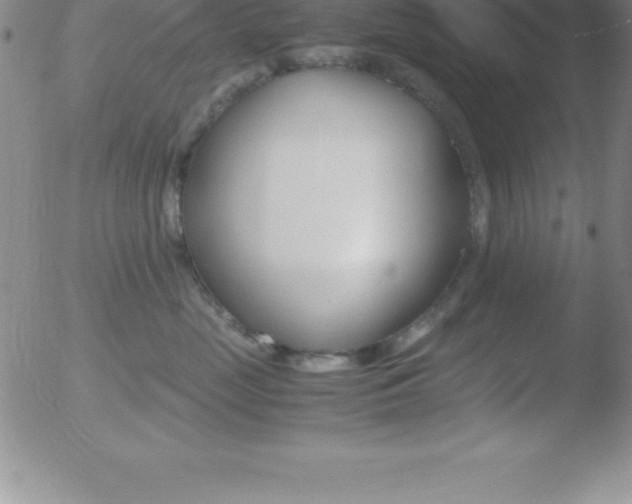 X0000051910669200507082031