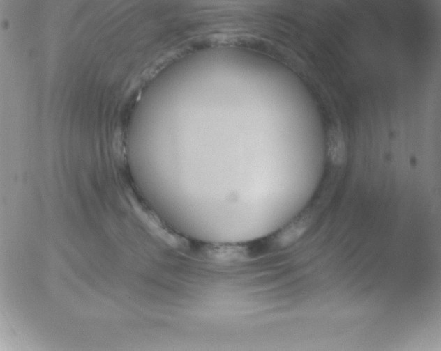 X0000051910670200507082031