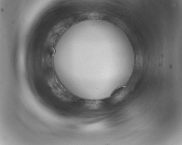 X0000051910671200507082031