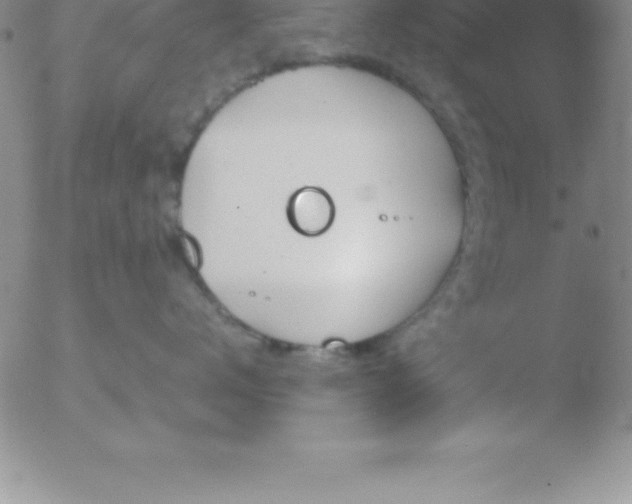 X0000051910672200507082031