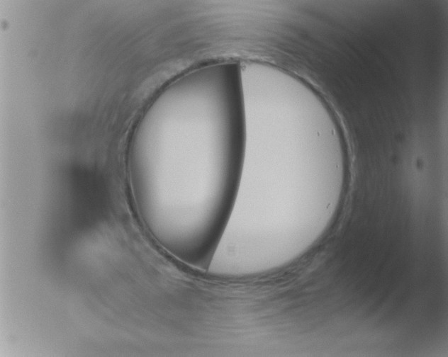 X0000051910673200507082030