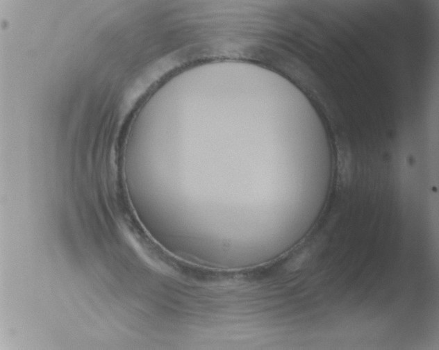 X0000051910674200507082030